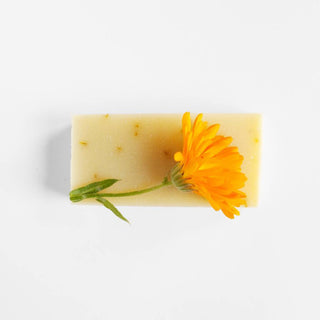 Sæbebar morgenfrue - Udebruser.dk